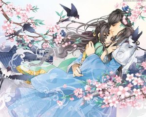 深入了解 蘑菇传媒官方入口
